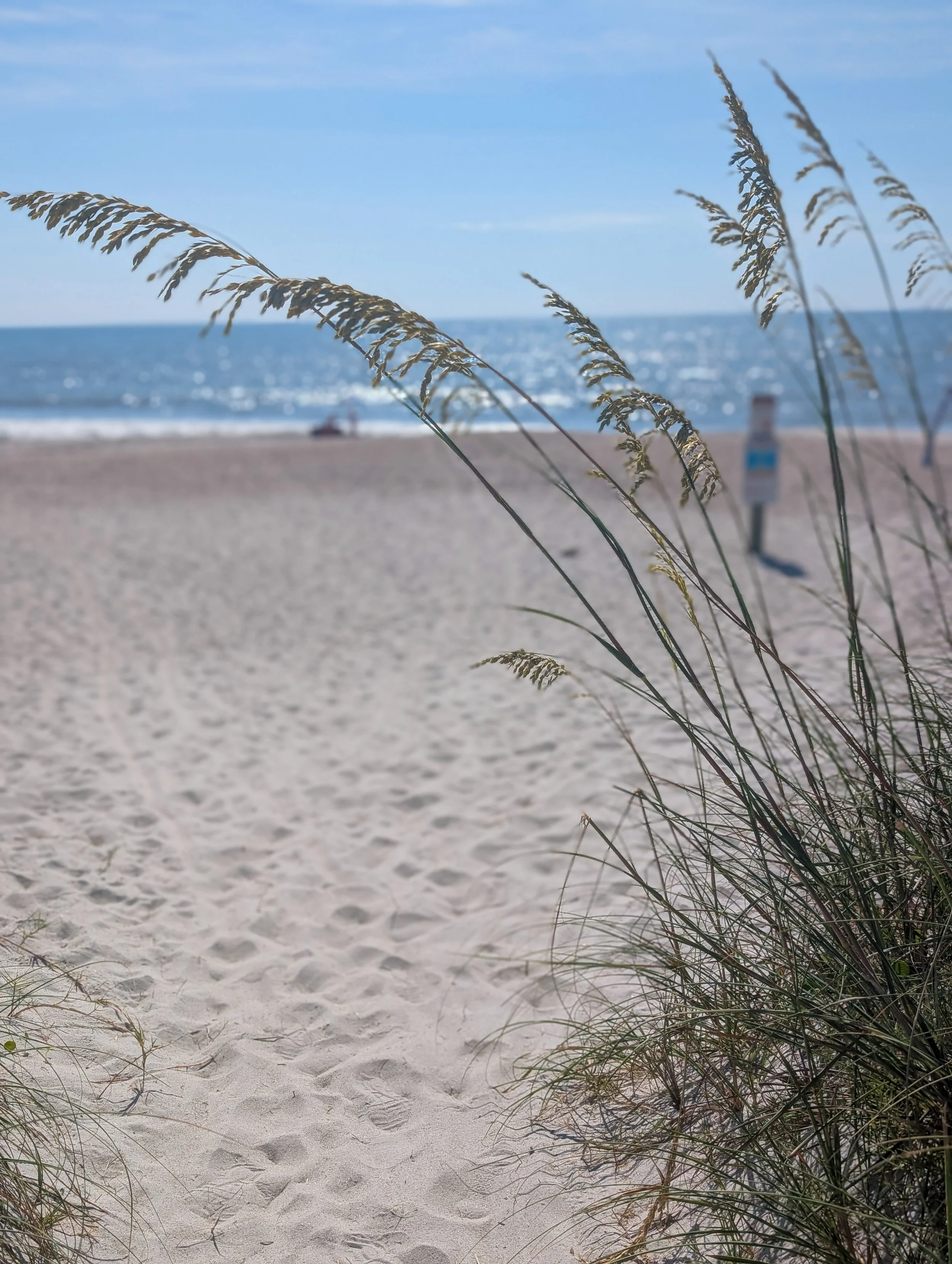 amelia-island-salty-rabbit-beach-04.jpg