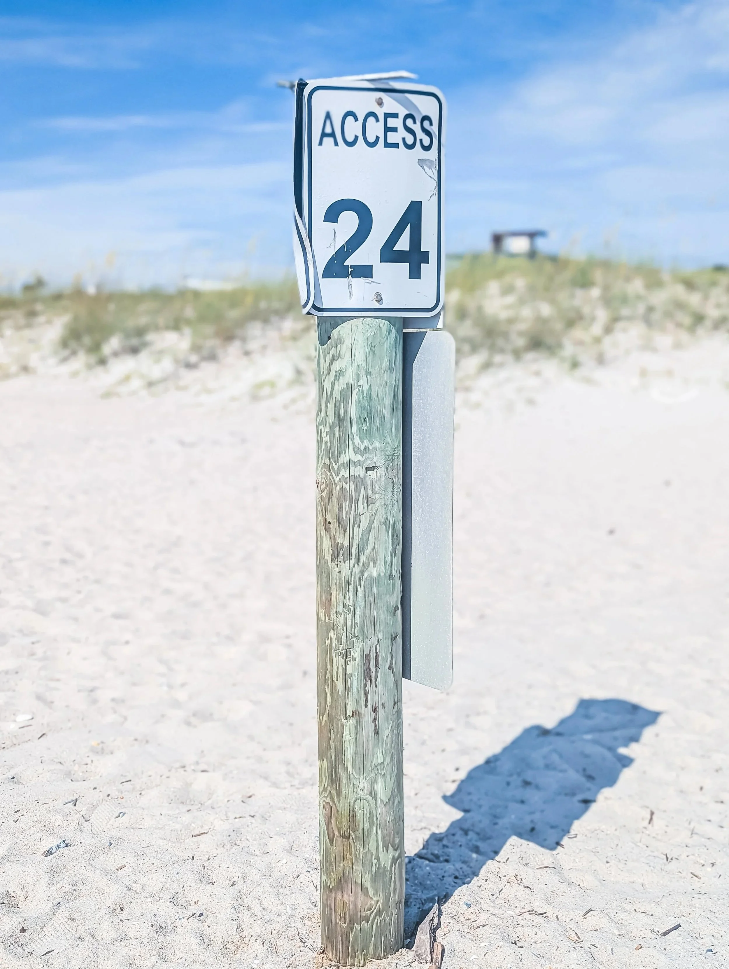 amelia-island-salty-rabbit-beach-03-1.jpeg