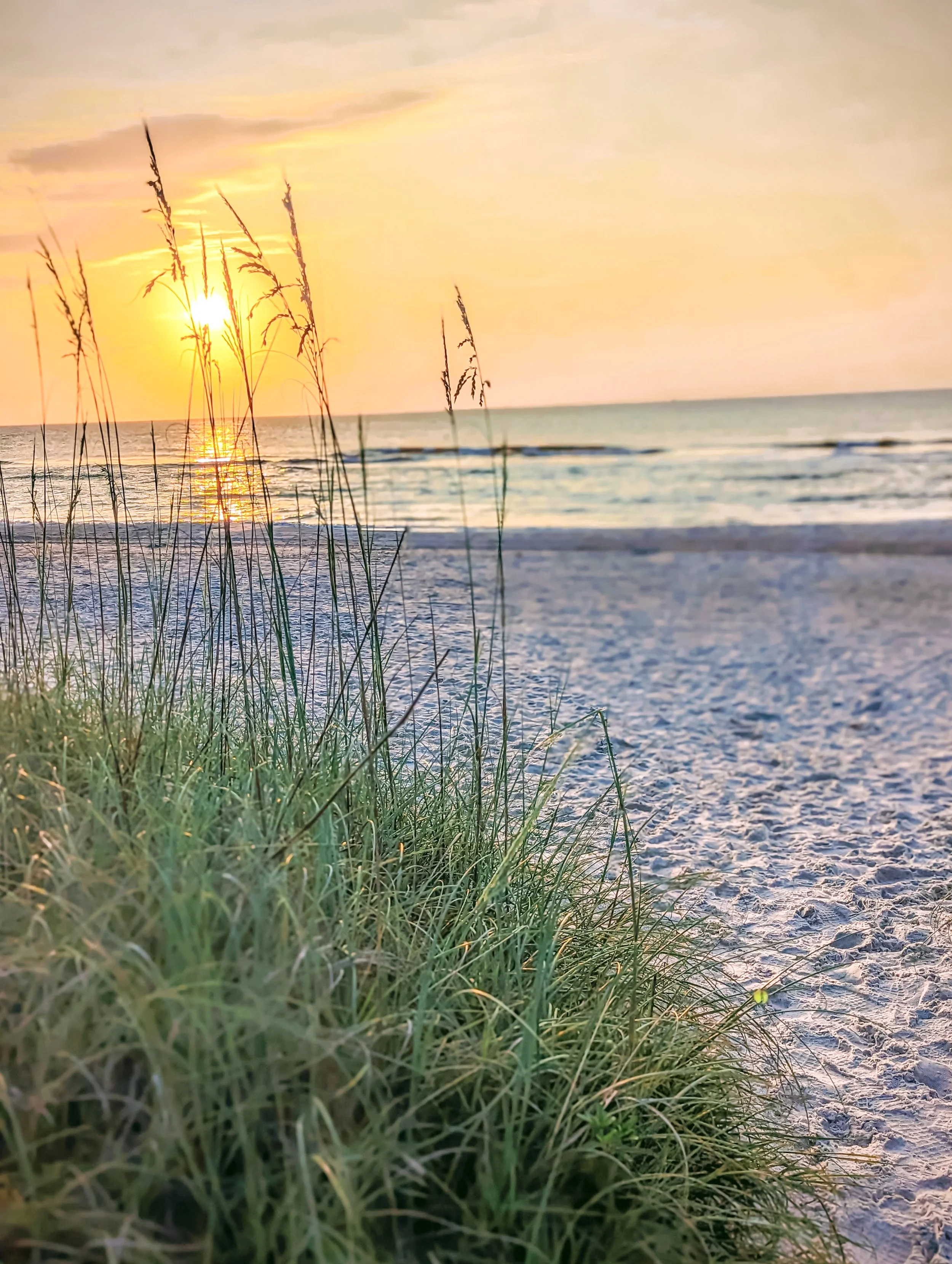 amelia-island-salty-rabbit-beach-11.jpg