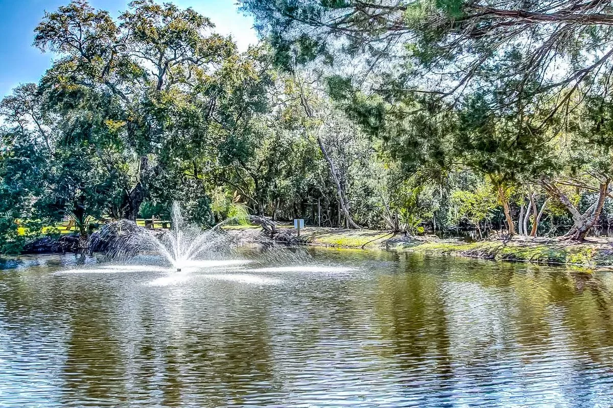 amelia-island-salty-rabbit-exterior-pond-02.jpg