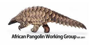 African Pangolin Working Group.jpeg