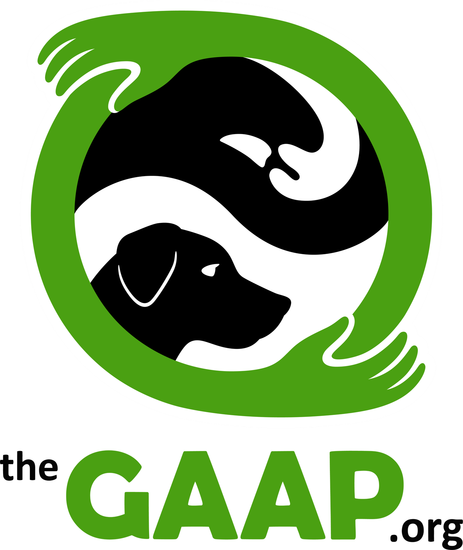 GAAP.webp