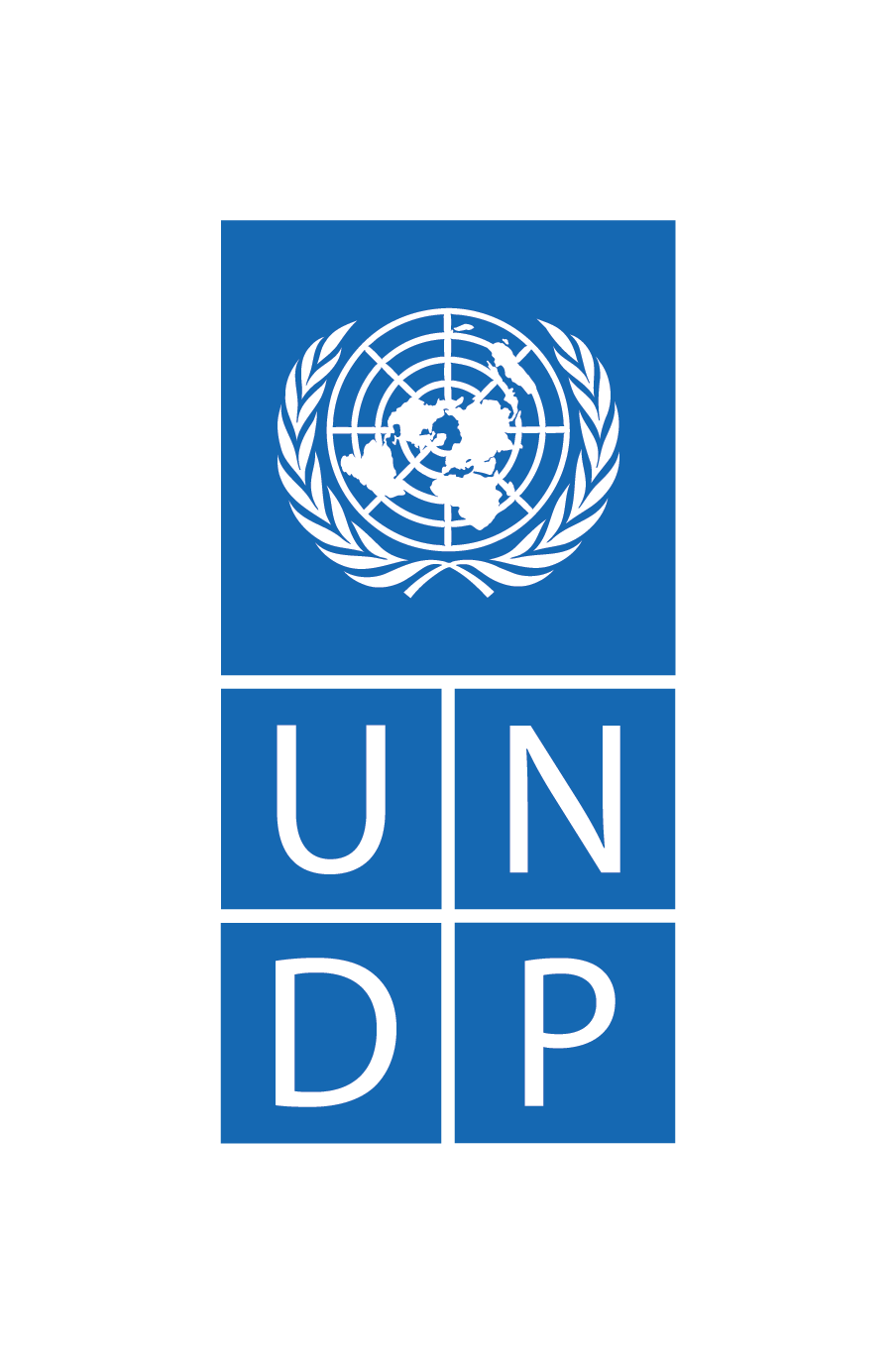 UNDP.png