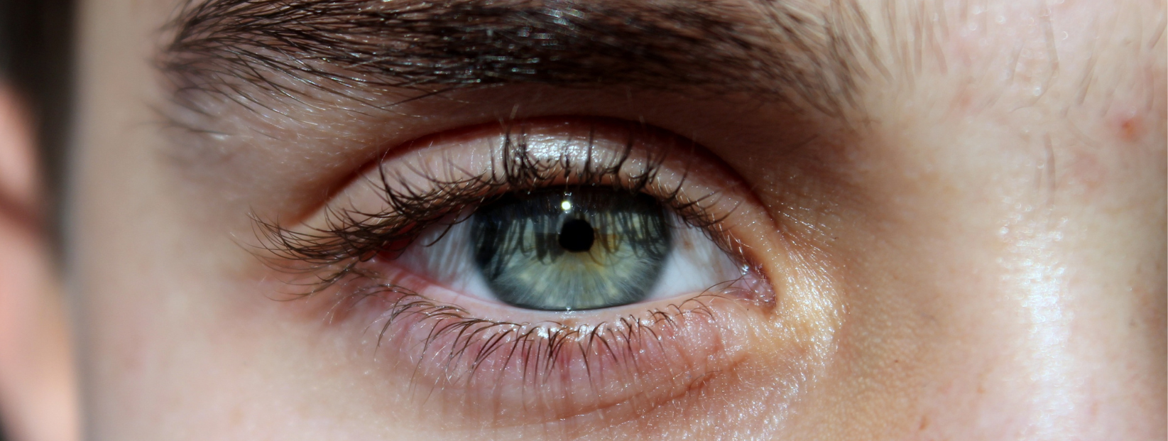 Close-up of a human eye with green iris, detailed eyelashes, and surrounding skin.