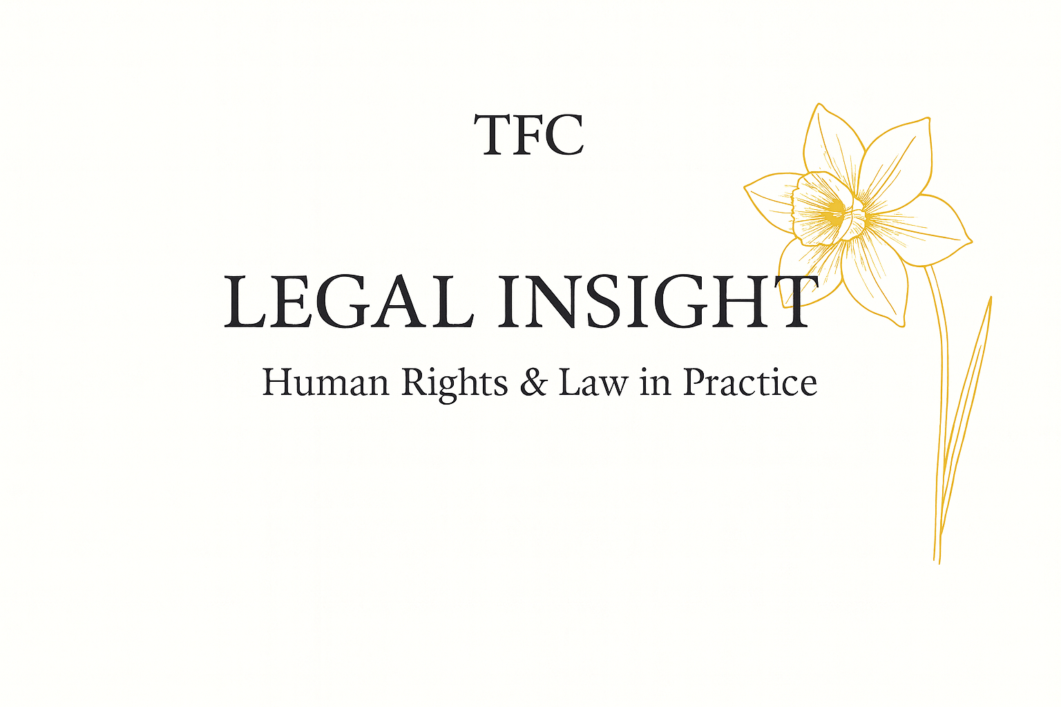 human rights & law in practice