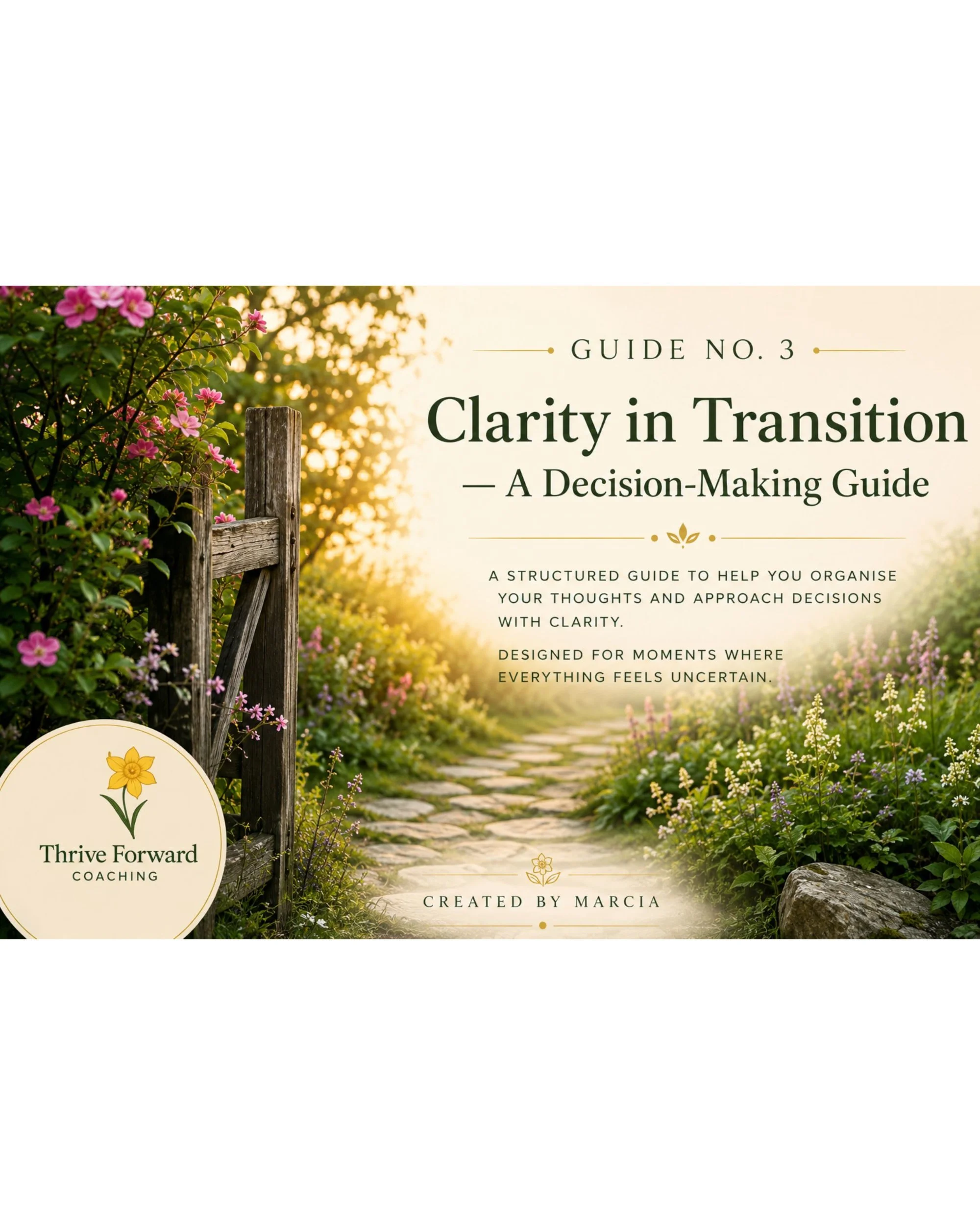 Clarity in Transition — A Decision-Making Guide