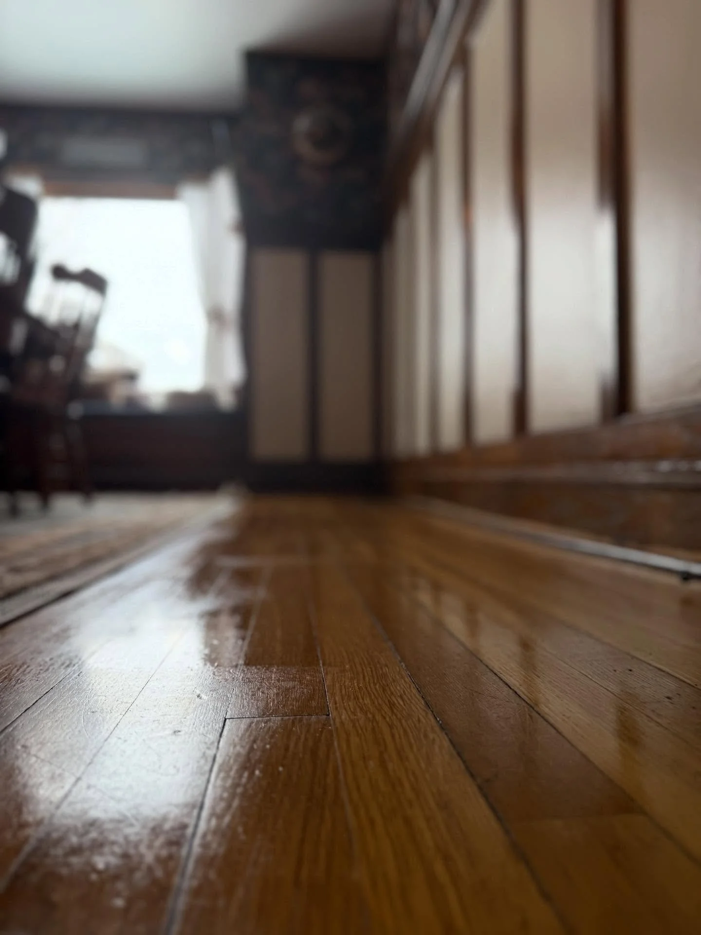 Close-up of a polished wooden floor with a blurred background of a dining room, including furniture and a window.
