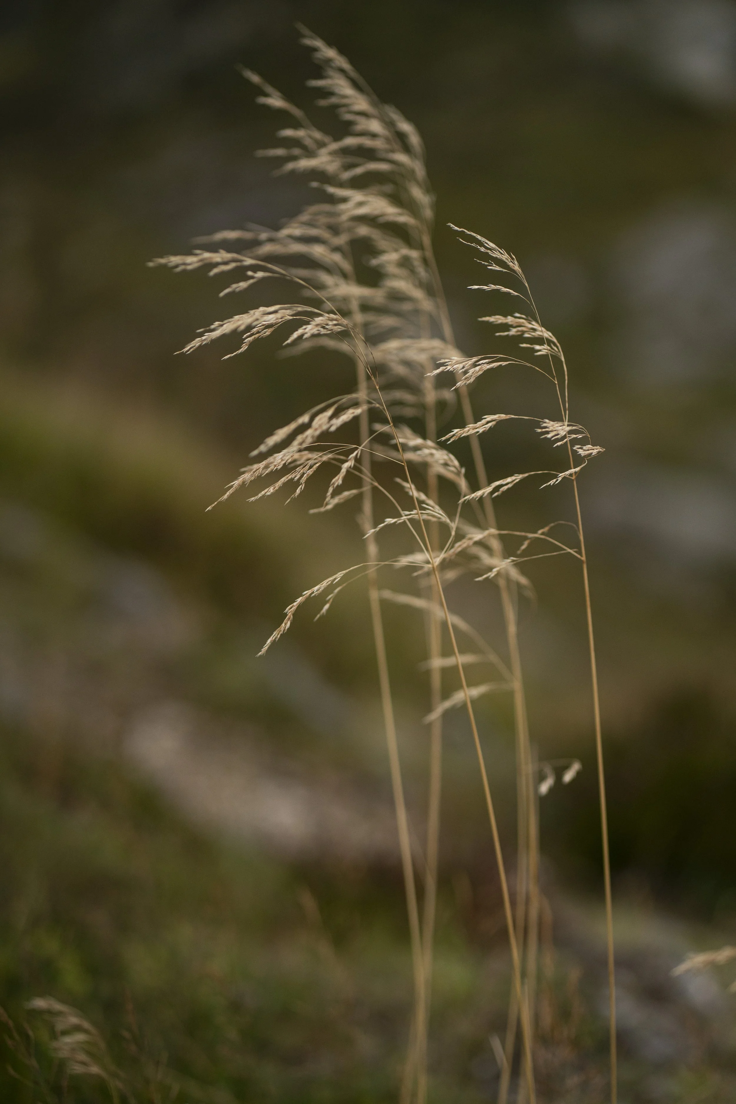 ulriken test photo_5.jpg