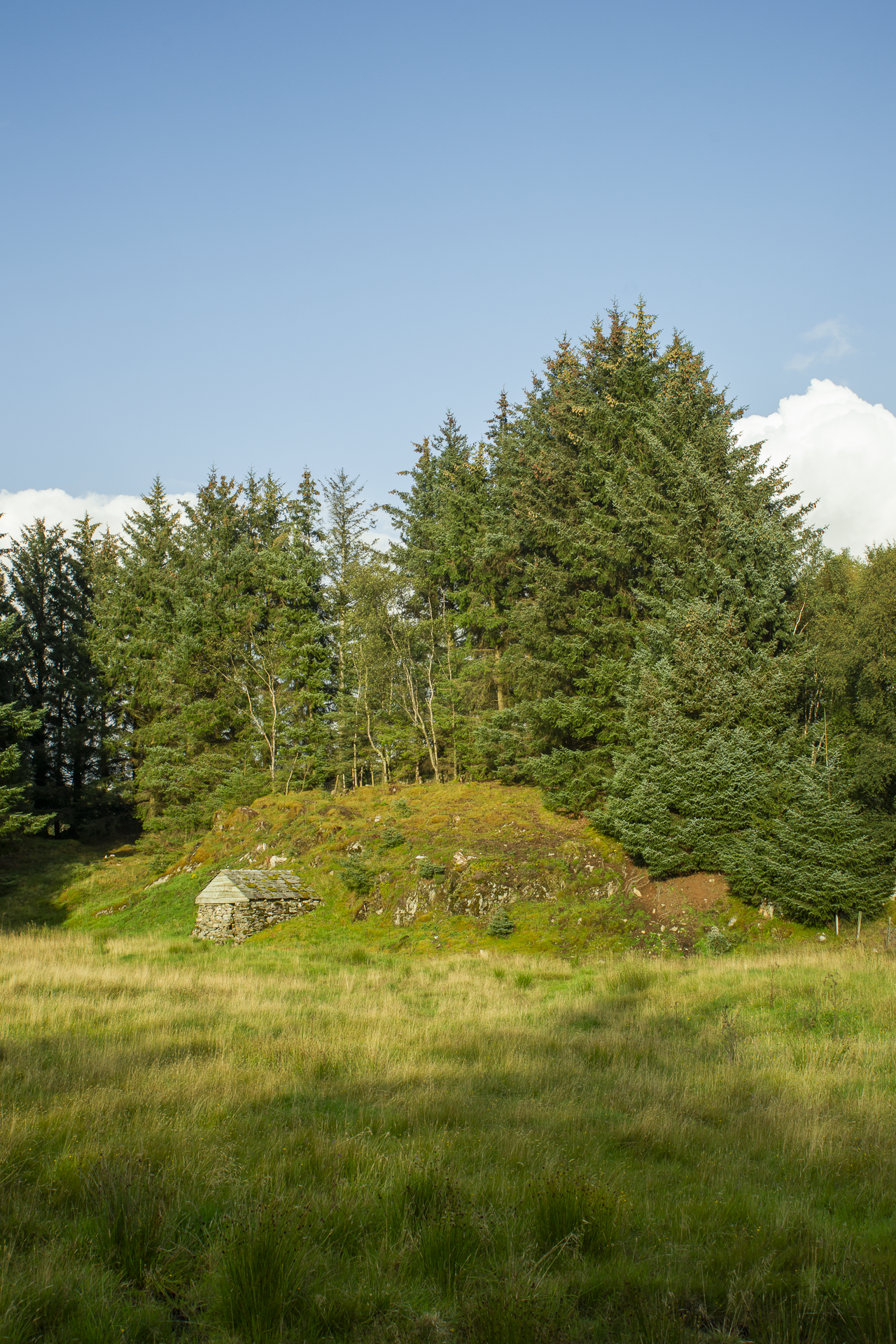 website background_3.png