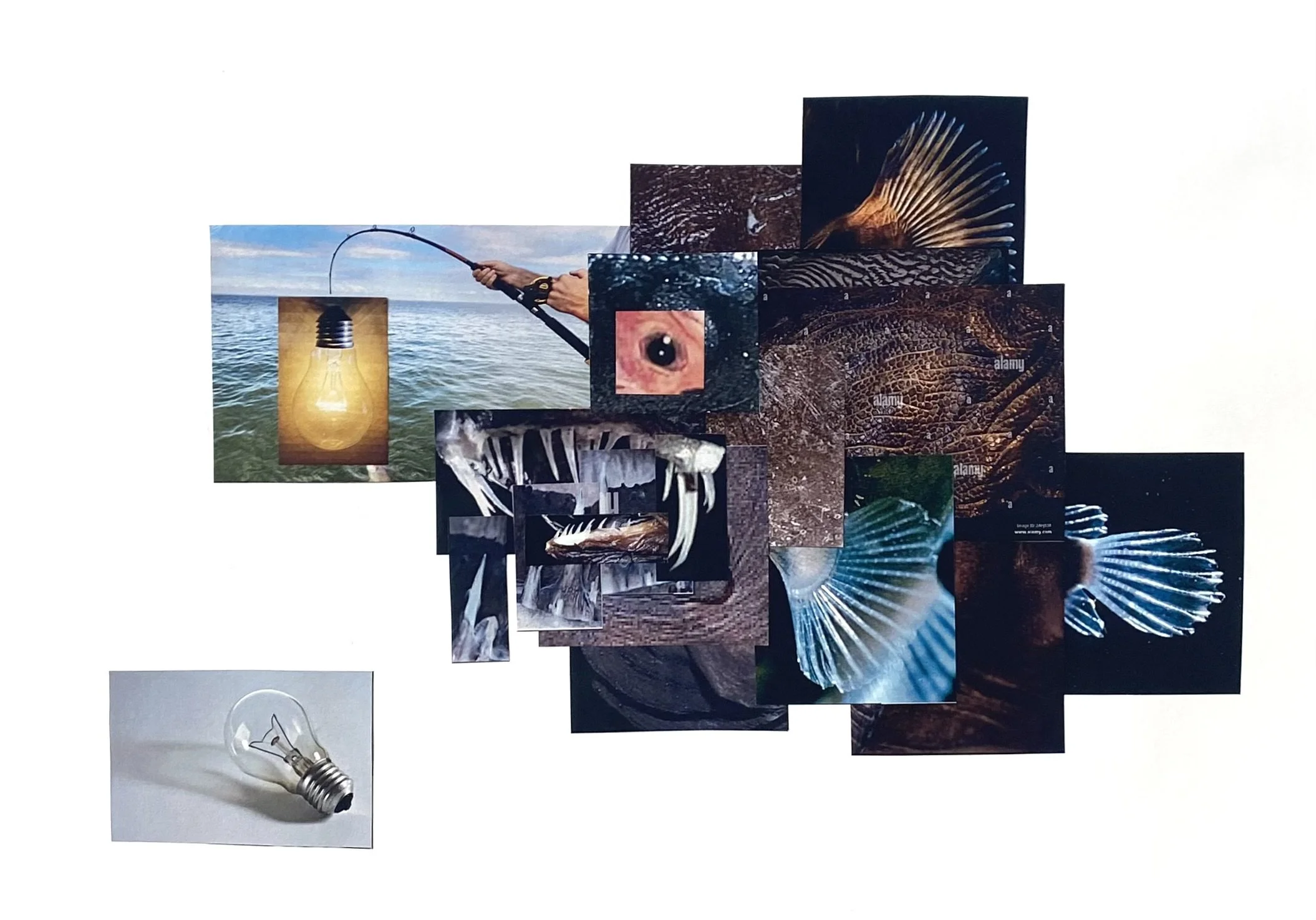 "Anglerfish", collage print, 30cm x 42cm, 2024