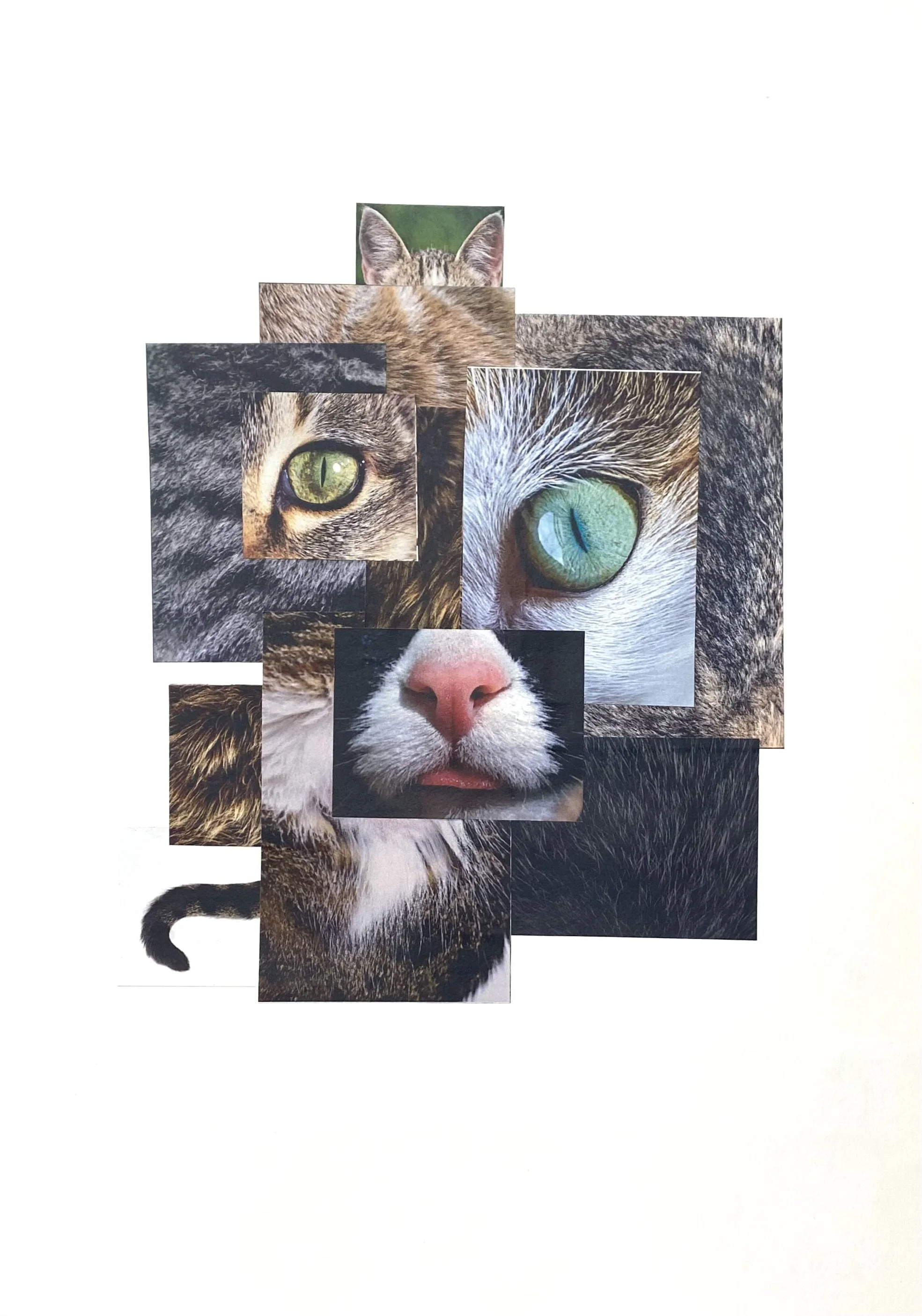 "Cat", collage print, 42cm x 30cm, 2024