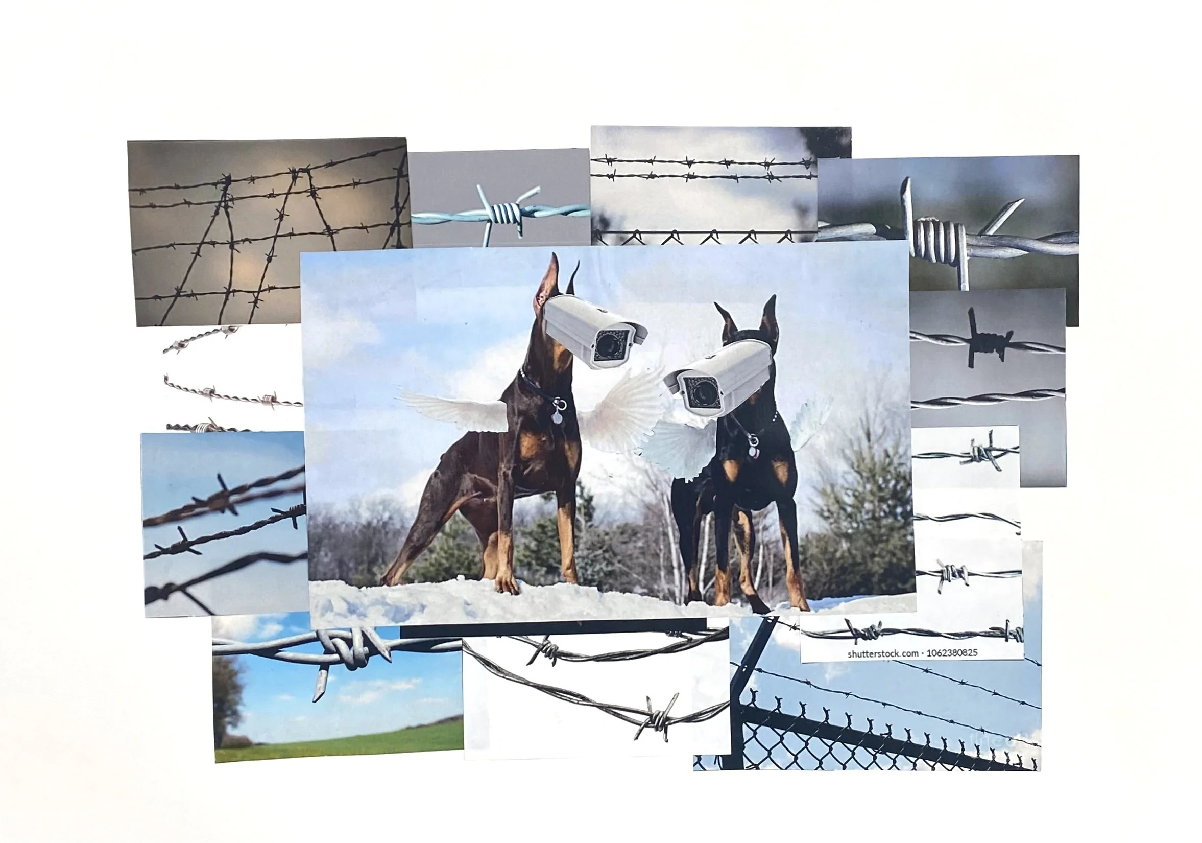 "Security Dogs", collage print, 30cm x 42cm, 2024