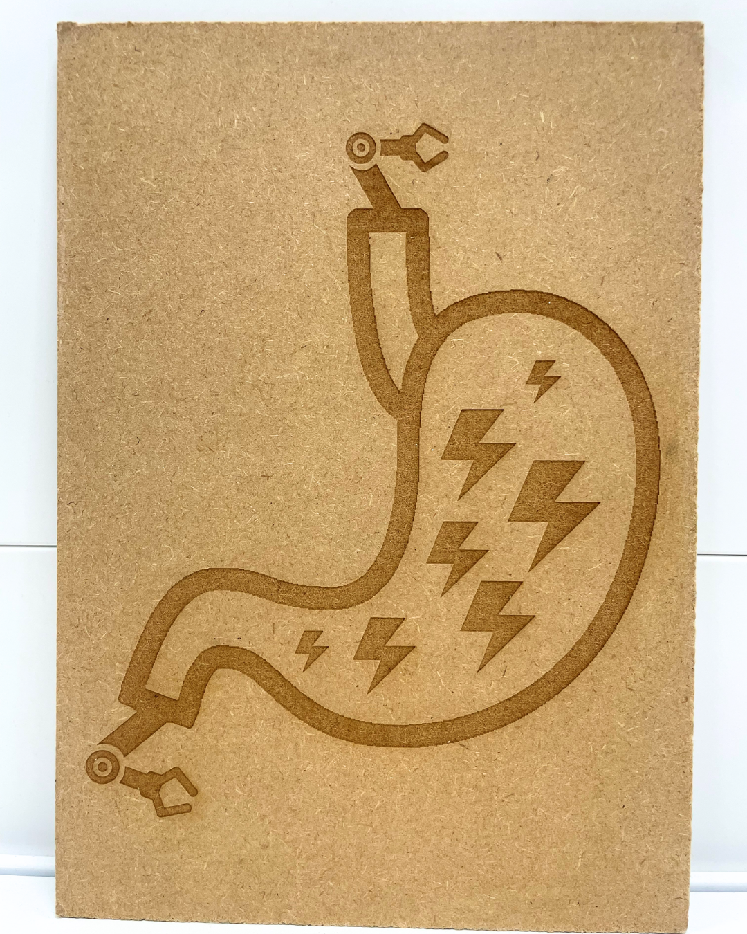 stomach (1).png