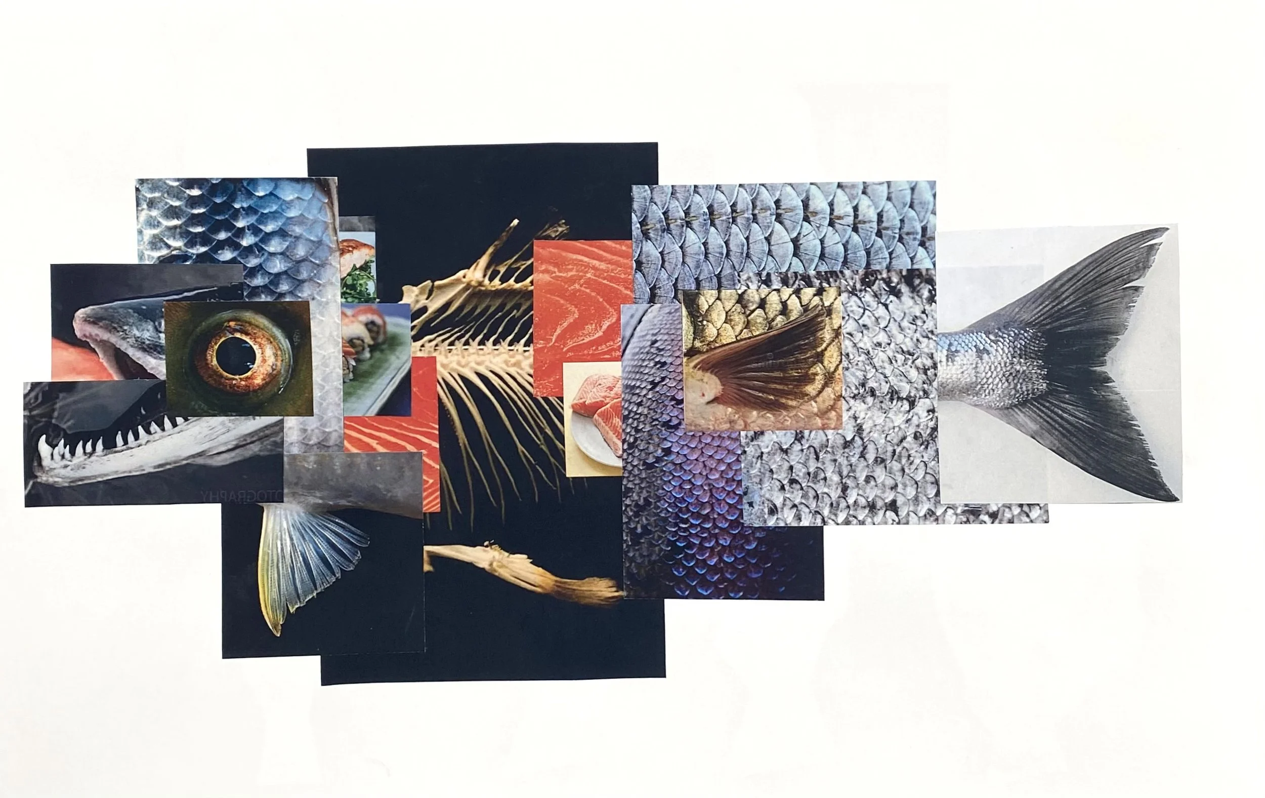 "Fish", collage print, 30cm x 42cm, 2024