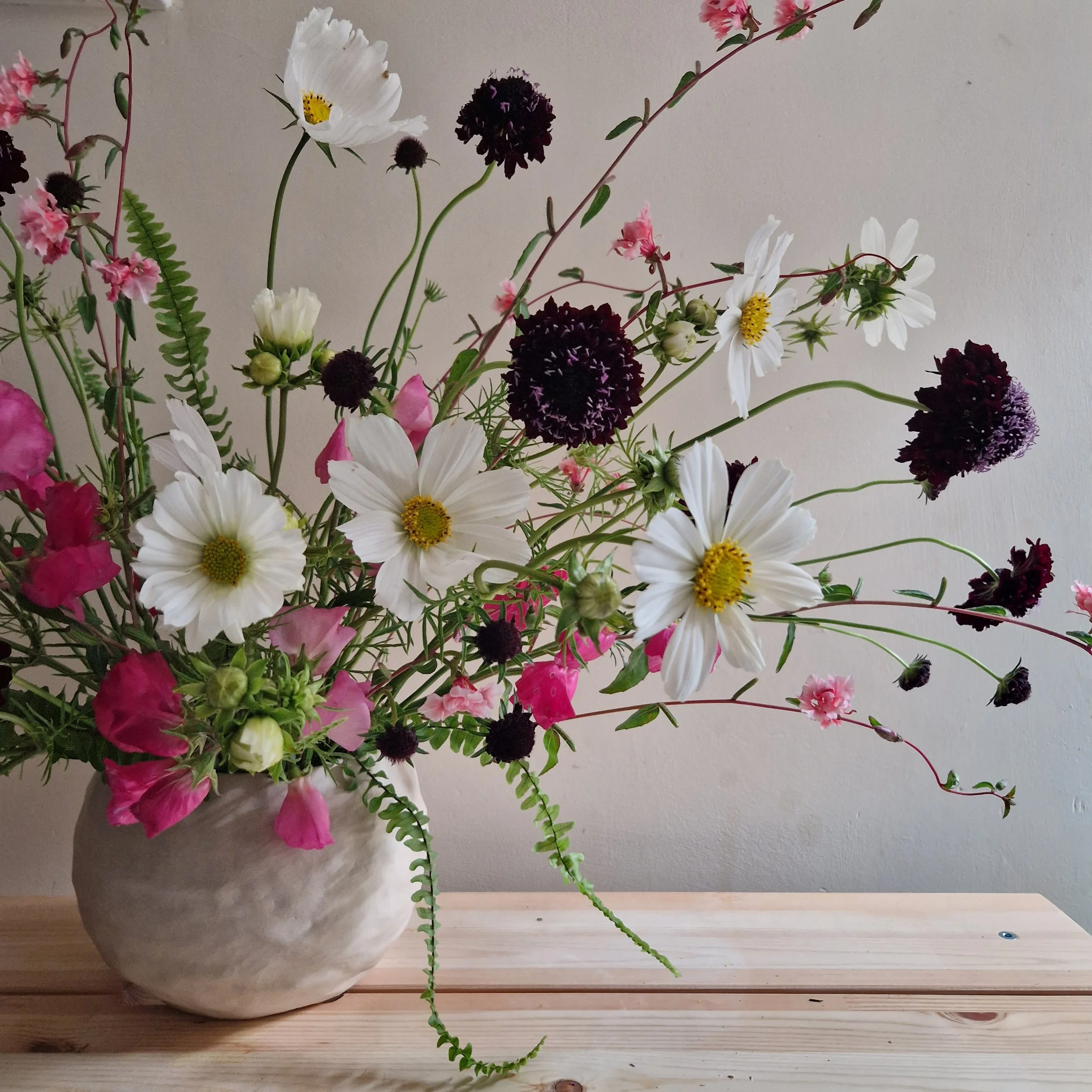 cheerful floral vase, cosmos and scabious