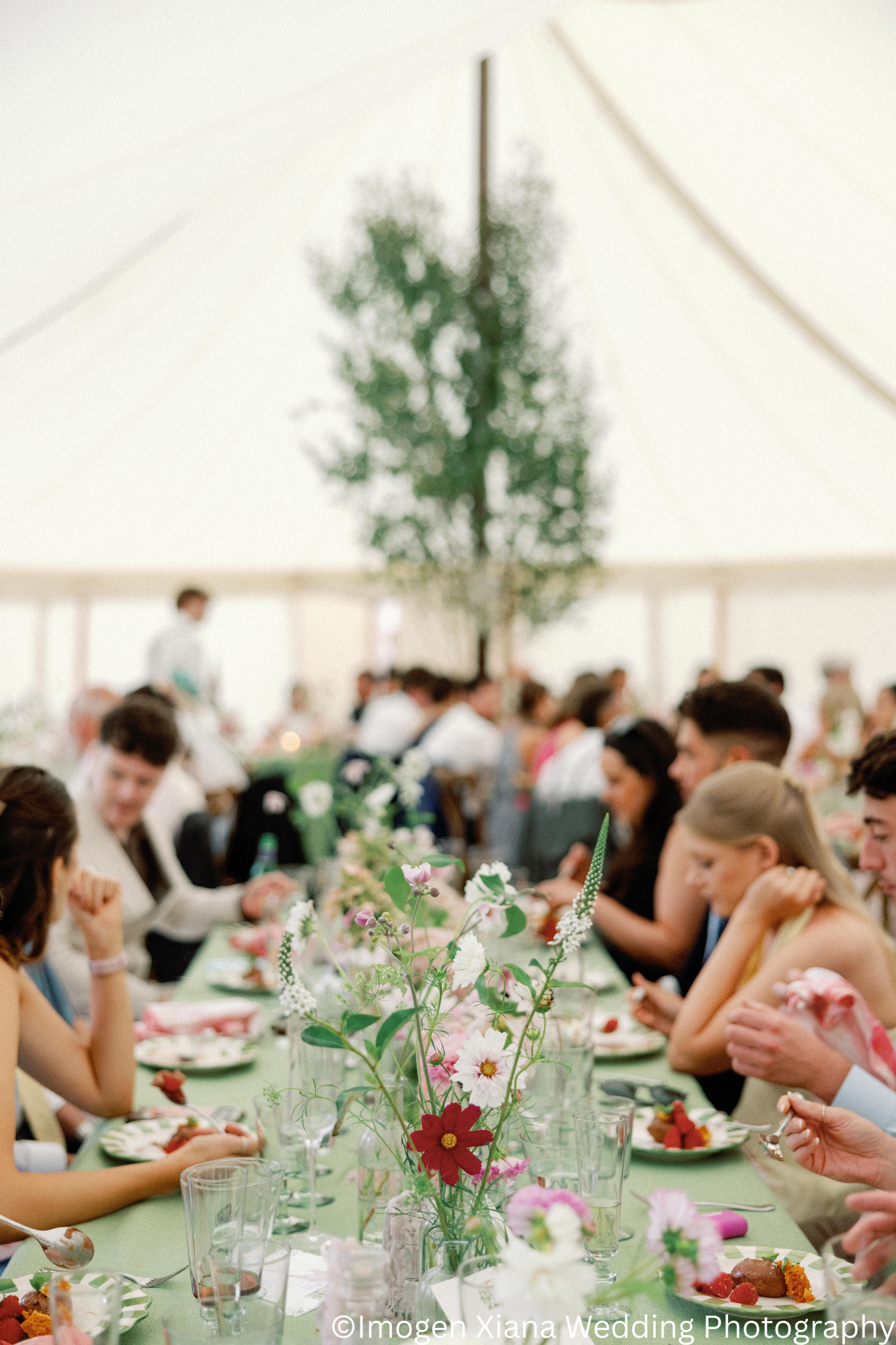 A large wedding reception tent with seated guests on both sides of a long table decorated with flowers and tableware, with a tall tree visible in the background.
