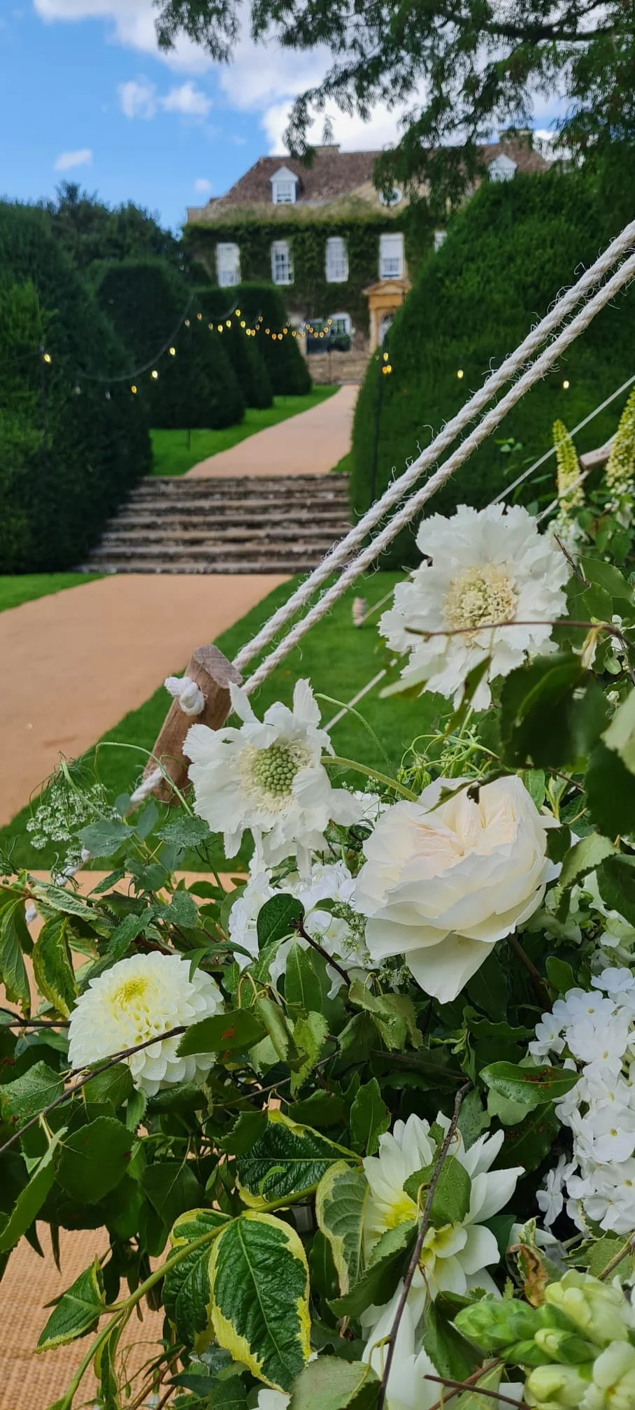 White flowers and green foliage along a garden pathway with steps leading to an ivy-covered house in the background during daytime.