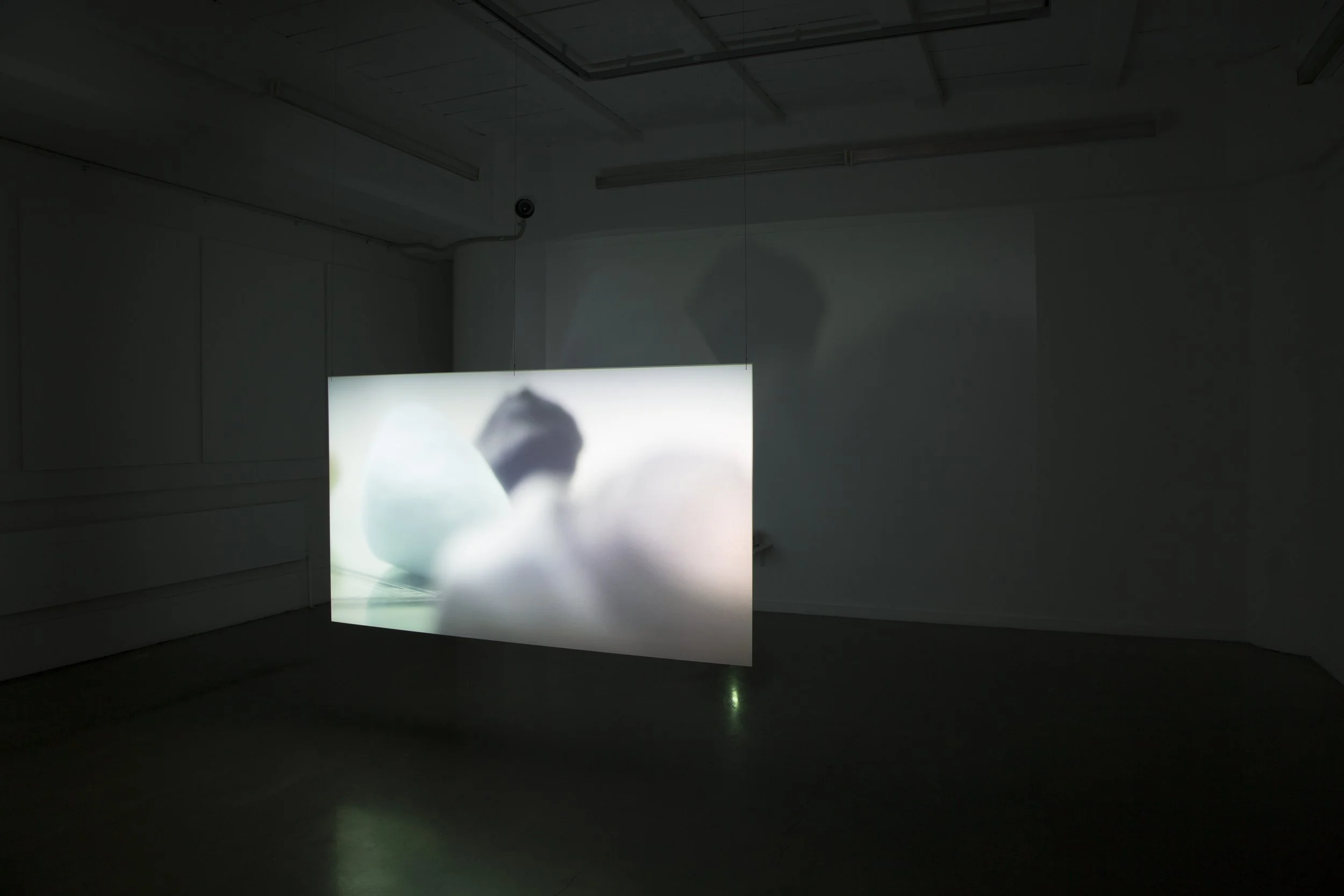'Petrifacts', 2018. Video projection