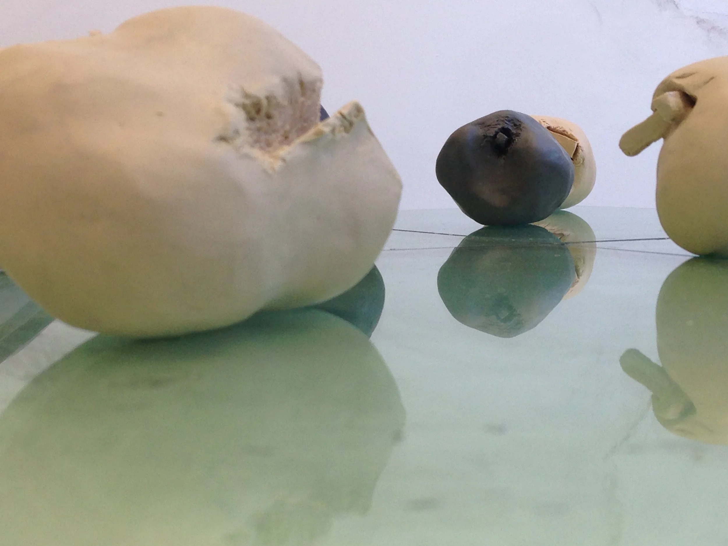 'Petrifacts', 2018. Video still