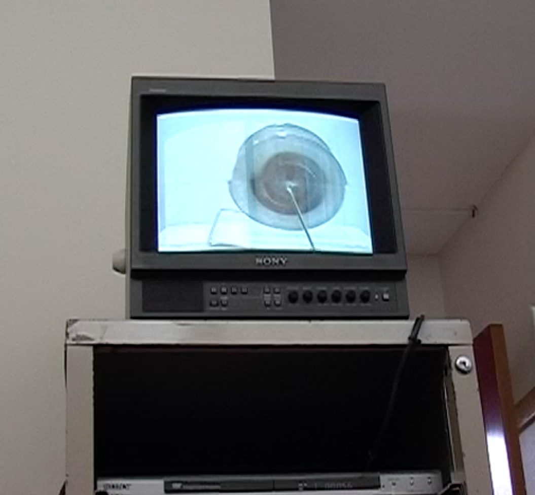 Front Loader, 2007. Video loop, installation view