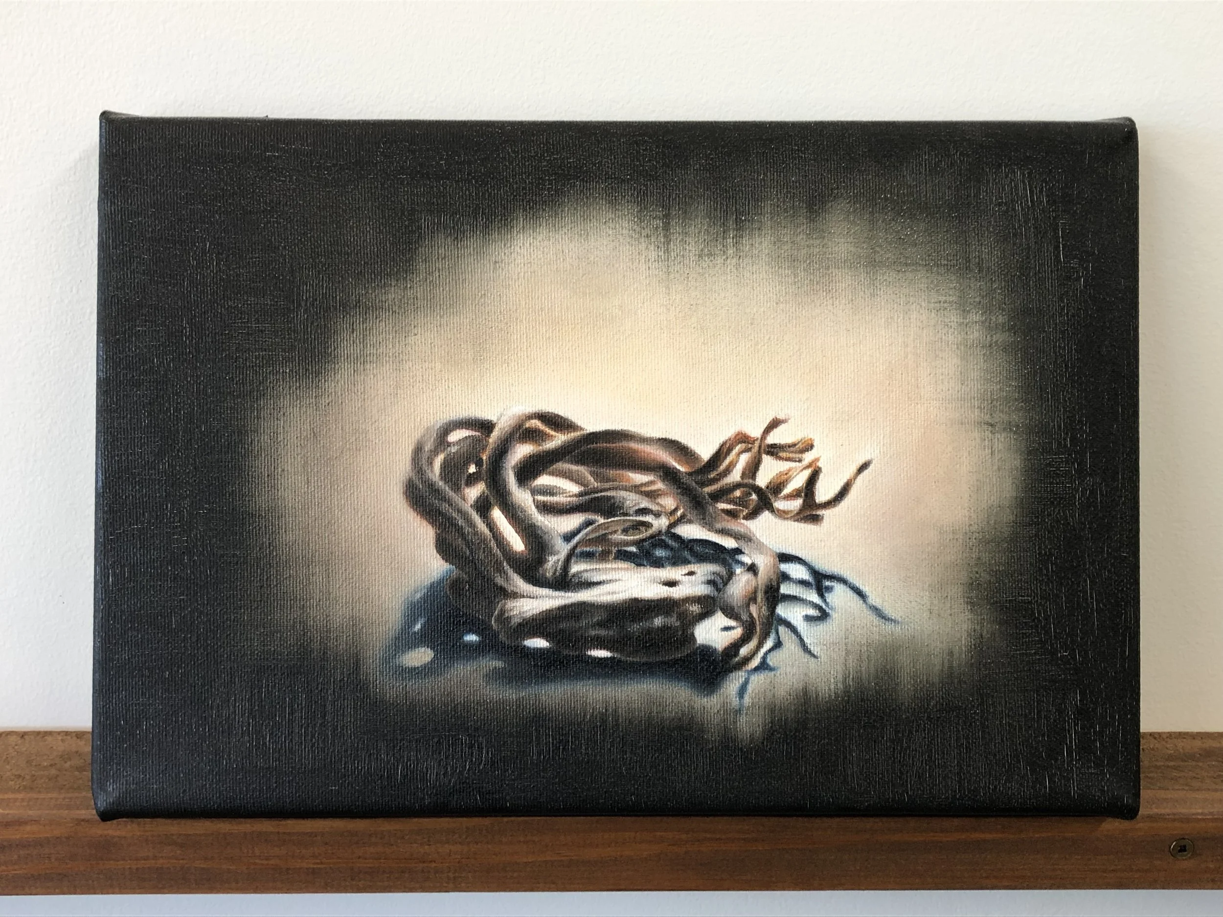 Untiled, 2024. Oil on canvas