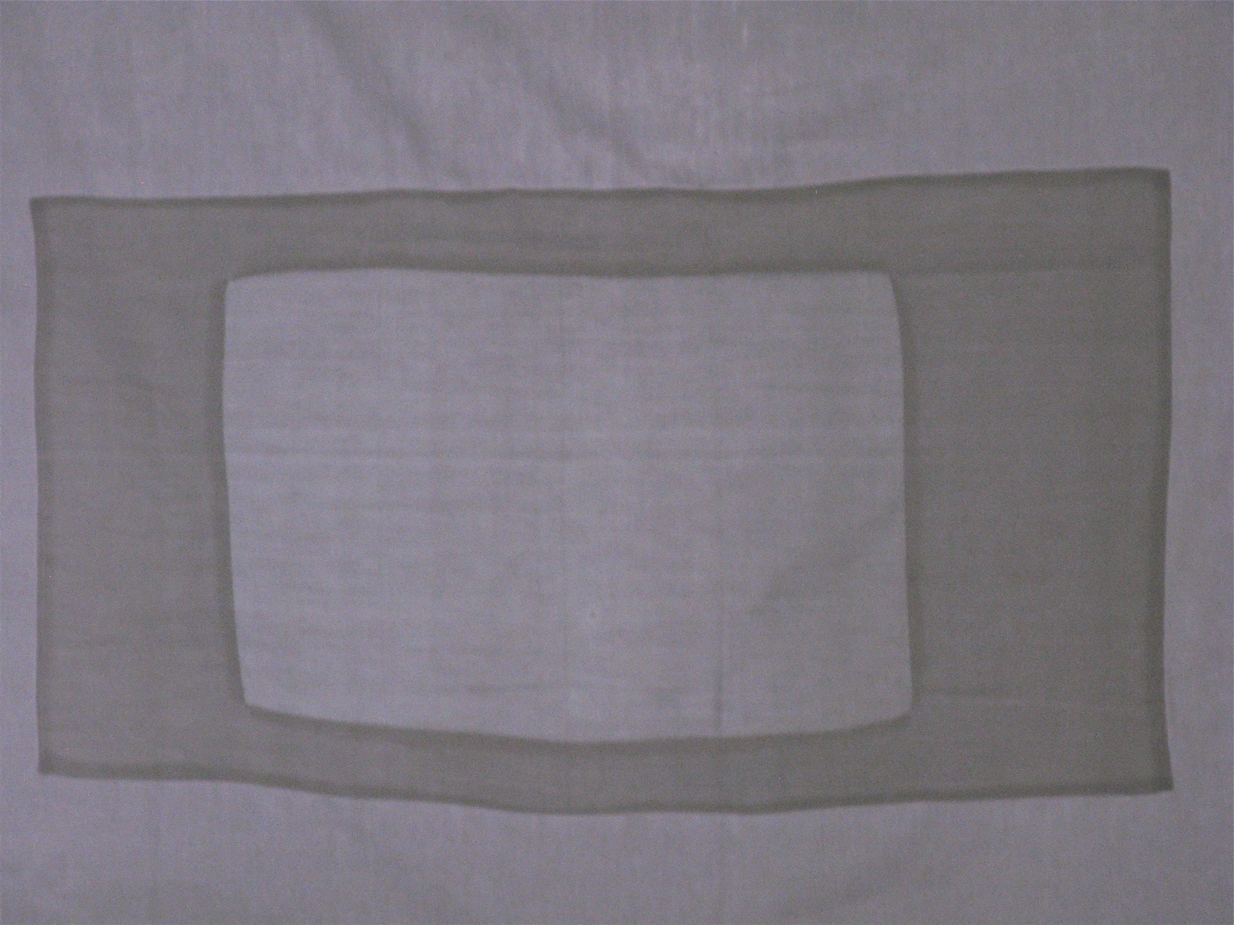 Vive la S.P., 2009. Mixed media, detail