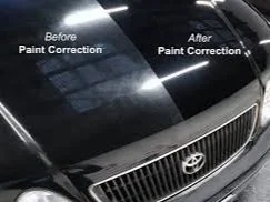 Florida Fresh Details Paint Correction