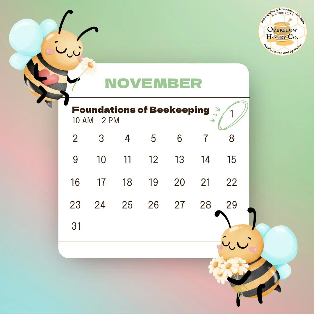 𝐉𝐮𝐬𝐭 𝐨𝐧𝐞 𝐝𝐚𝐲 𝐚𝐰𝐚𝐲!
Join us 𝐭𝐨𝐦𝐨𝐫𝐫𝐨𝐰 (𝐒𝐚𝐭𝐮𝐫𝐝𝐚𝐲, 𝐍𝐨𝐯. 𝟏) 𝐟𝐫𝐨𝐦 𝟏𝟎 𝐚.𝐦.–𝟐 𝐩.𝐦. at Overflow Honey Co. for our first-ever Bee Informed: Foundations of Beekeeping event! 
This free community day will be f