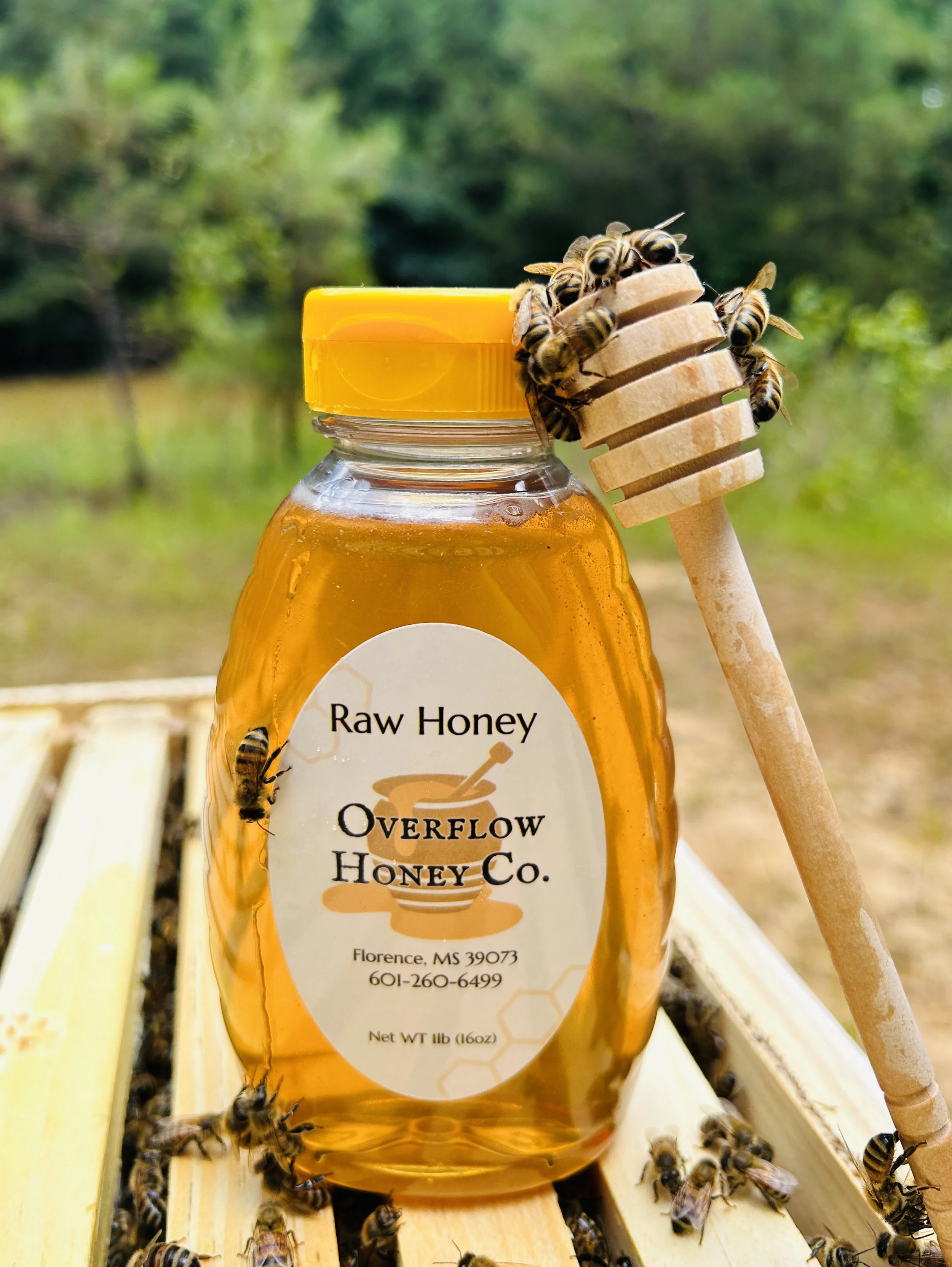 A jar of raw honey labeled 'Overflow Honey Co.' is on a wooden bee frame with honey bees on it and a honey dipper nearby, outdoors with a blurred green background.