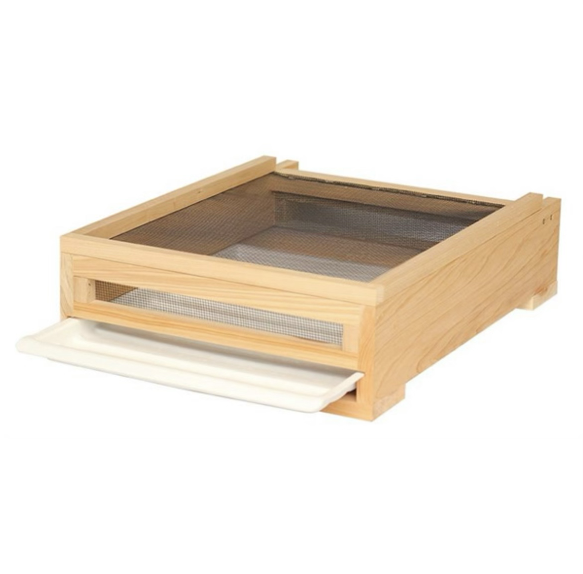 The Ventilated Beetle Trap & Tray