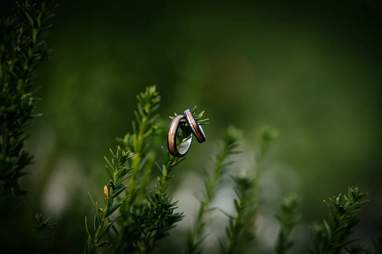 Eheringe, Fotoshooting Hochzeit, Berlin, Brandenburg
