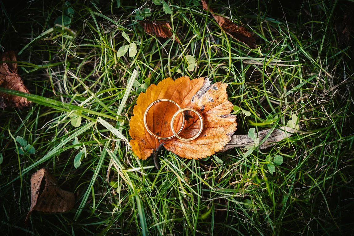 Trauringe Berlin heiraten queer Standesamt freie Trauung