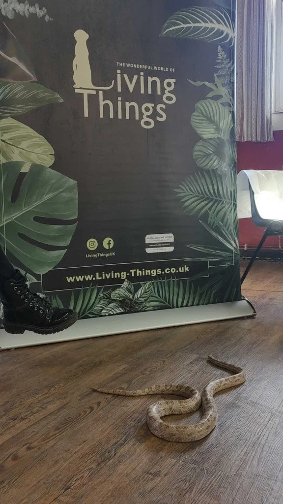 living things header.jpg