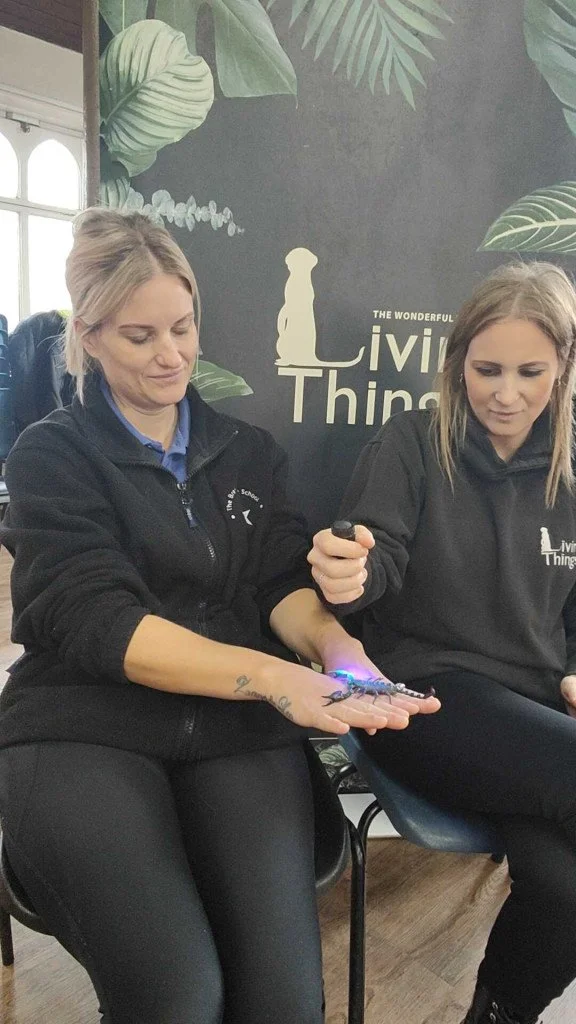 living things emma scorpion.jpg