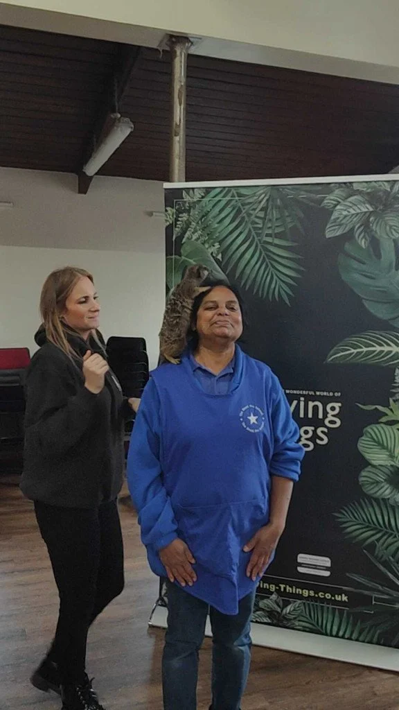 living things bridget meerkat.jpg