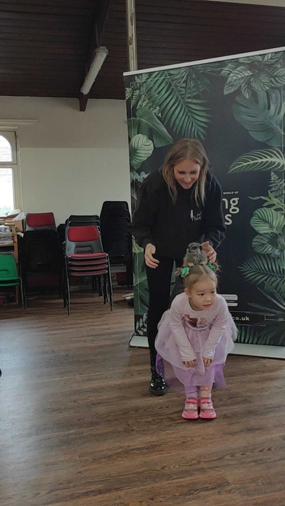 living things sophie meerkat.jpg