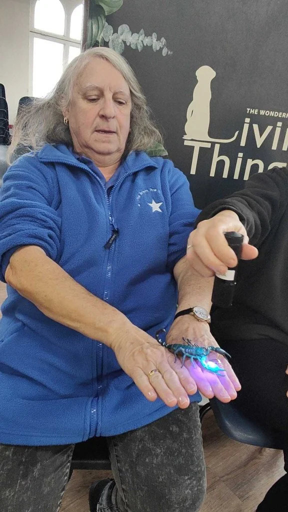 Living things Tina Scorpion.jpg