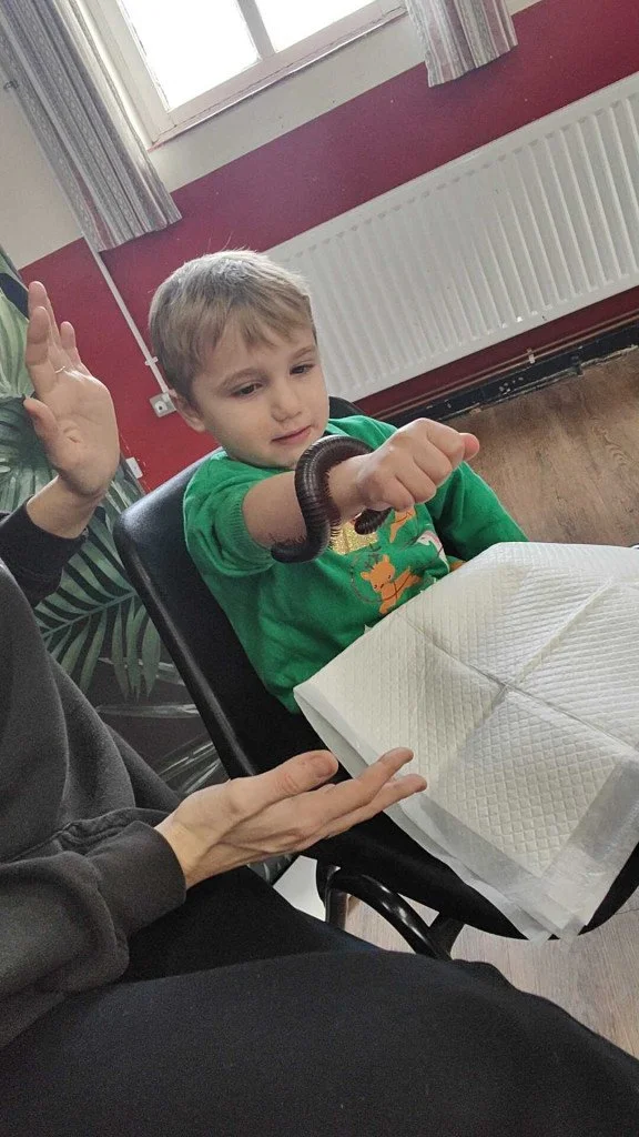 living things millipede child 1.jpg