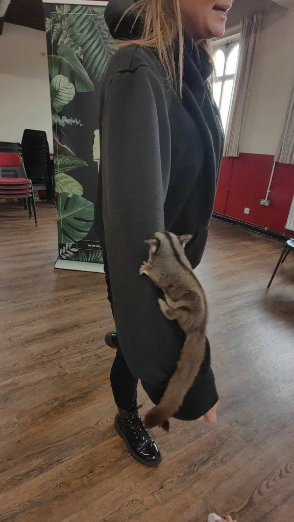 living things sugar glider.jpg