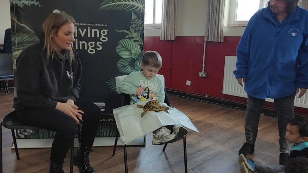 living things tortoise mason.jpg