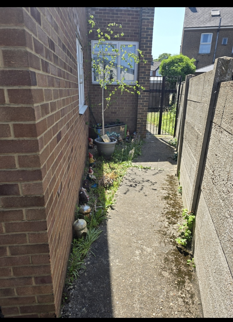 garden area 2 before pic 3.png