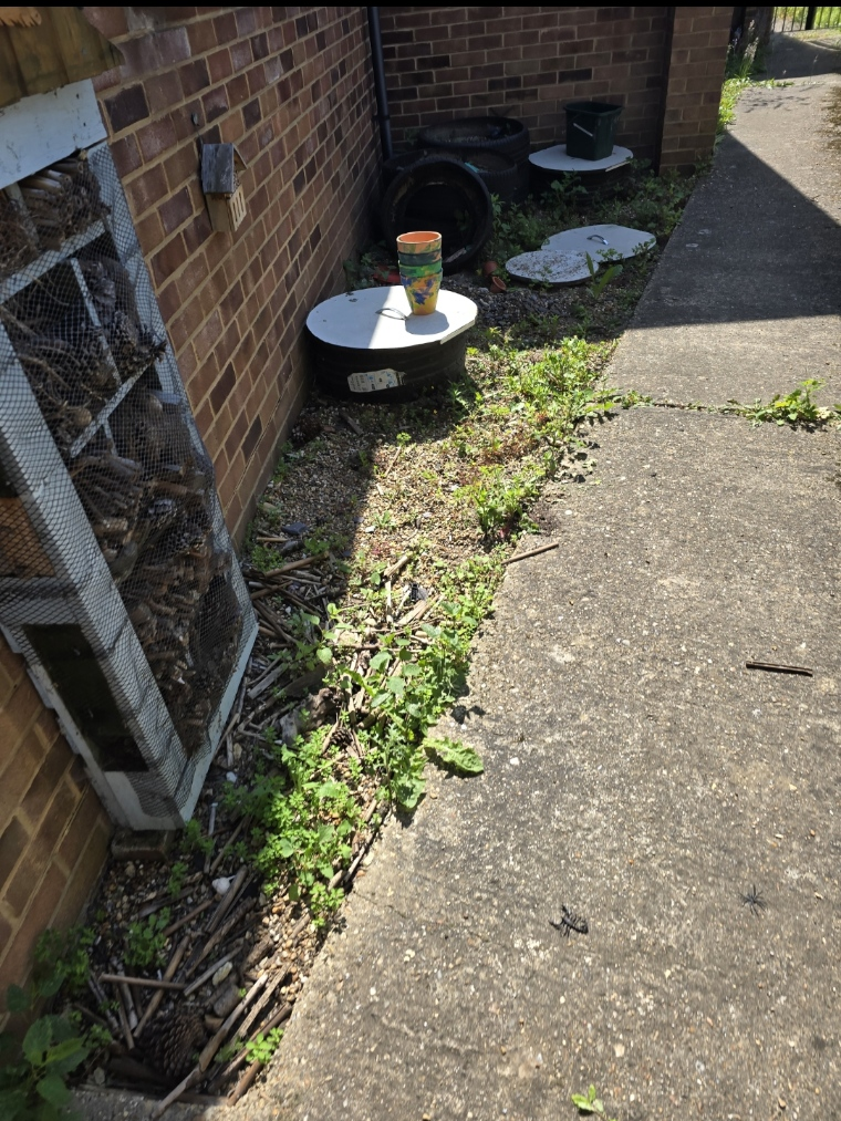 garden area 3 before pic.png