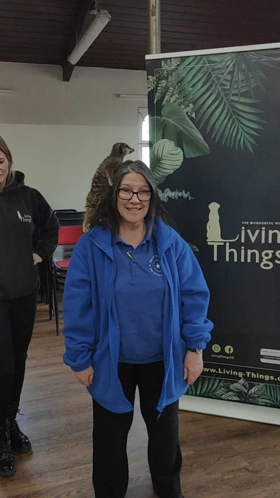 living things deirdre meerkat.jpg