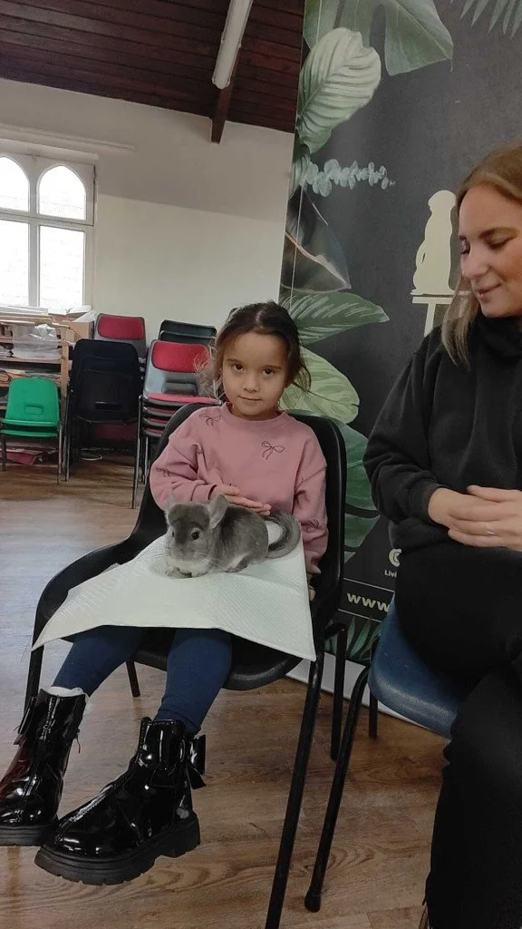 living things chinchilla Aamara.jpg