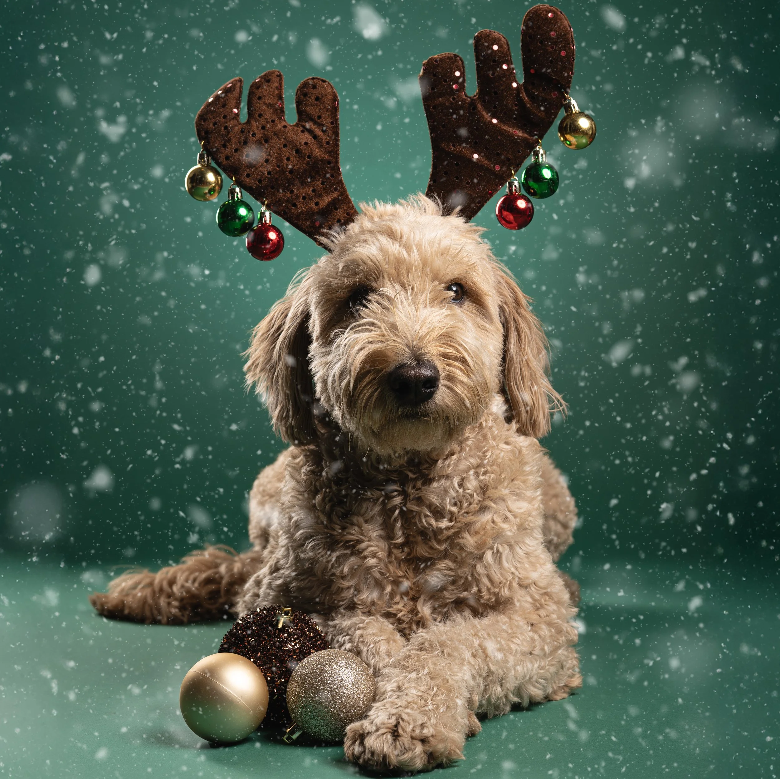 Holiday Minis Are Here!