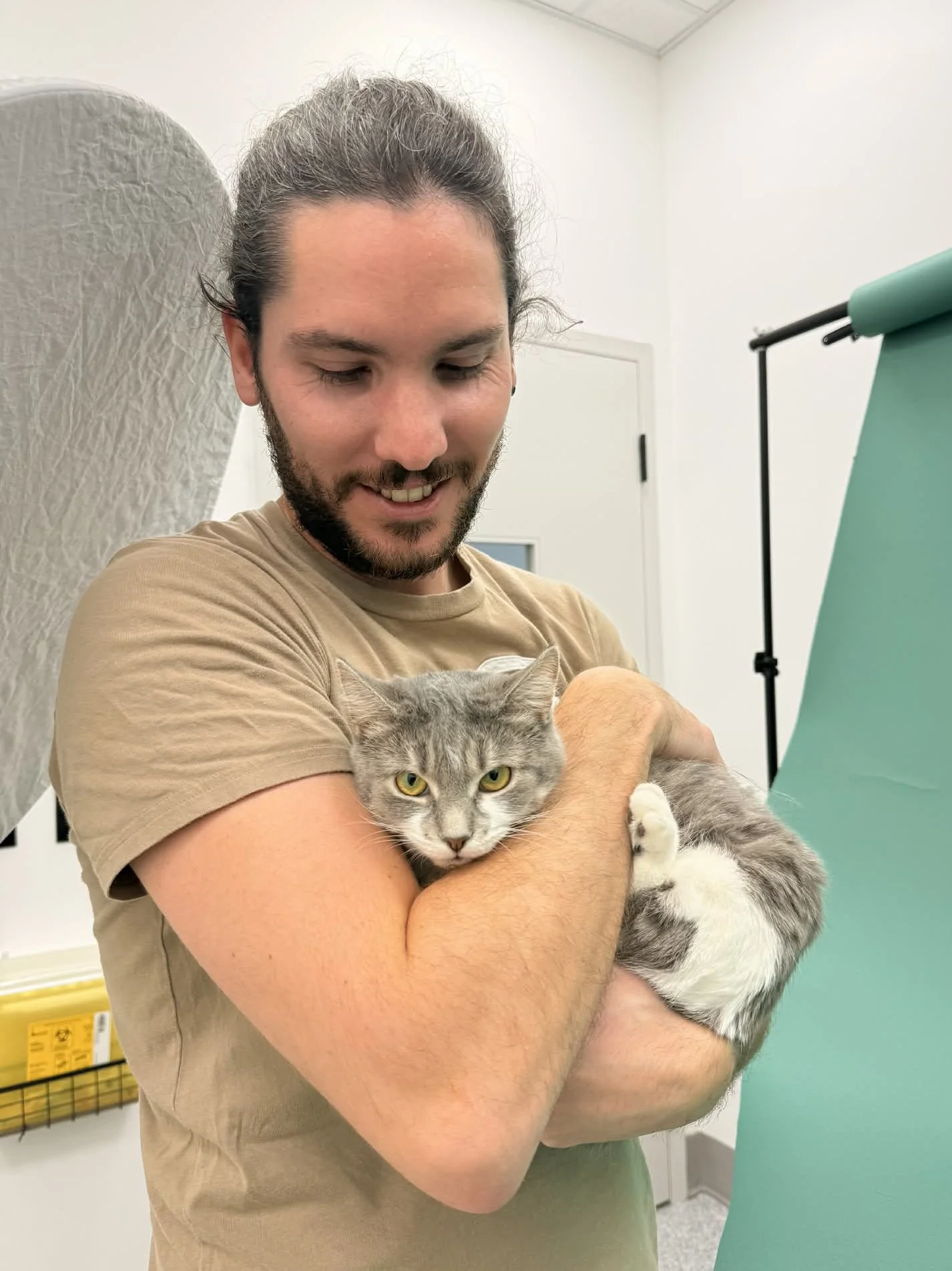 Warming Up a Shy Cat