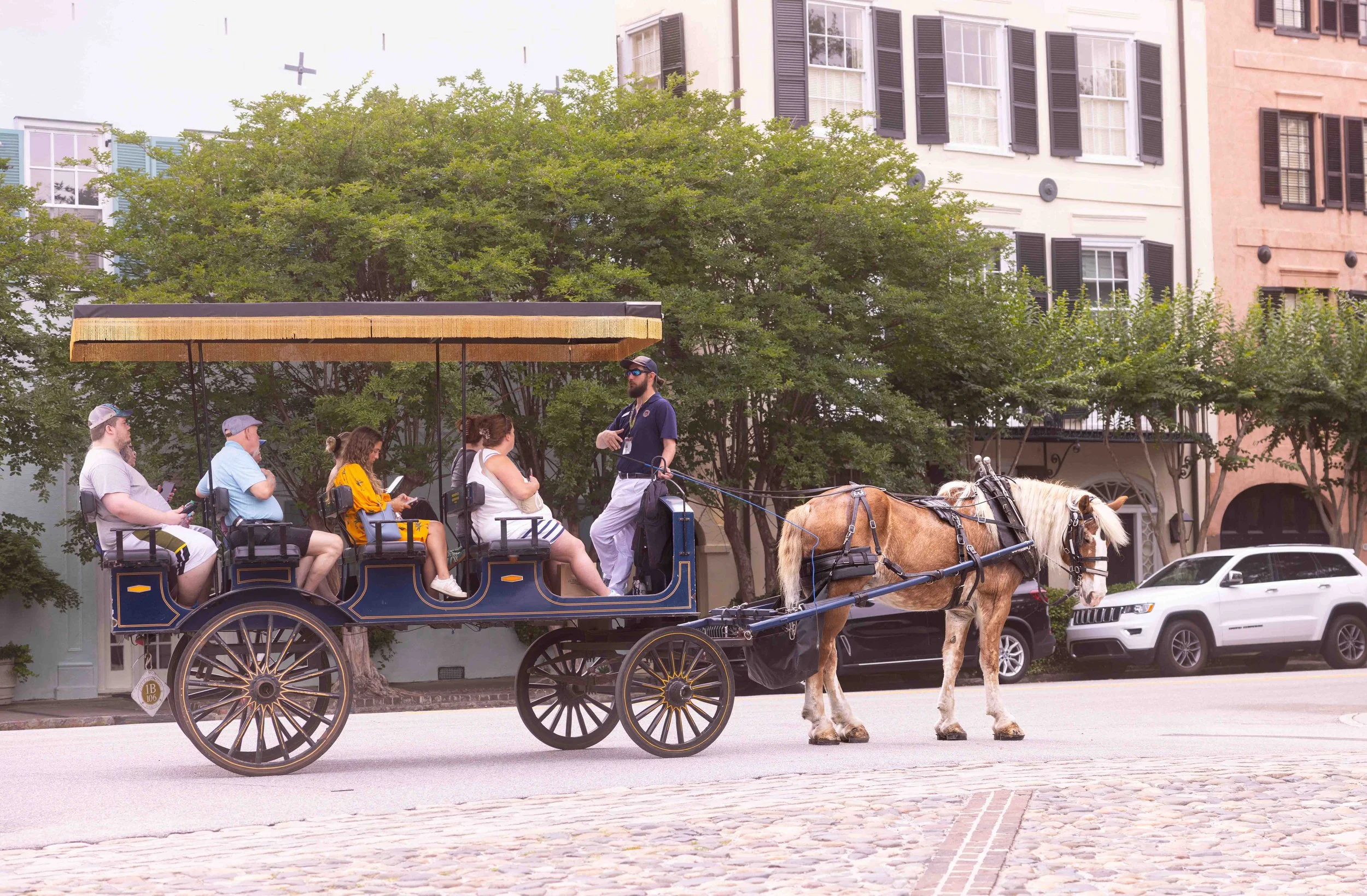 Rainbow Row Charleston Carriage Street low res.jpg
