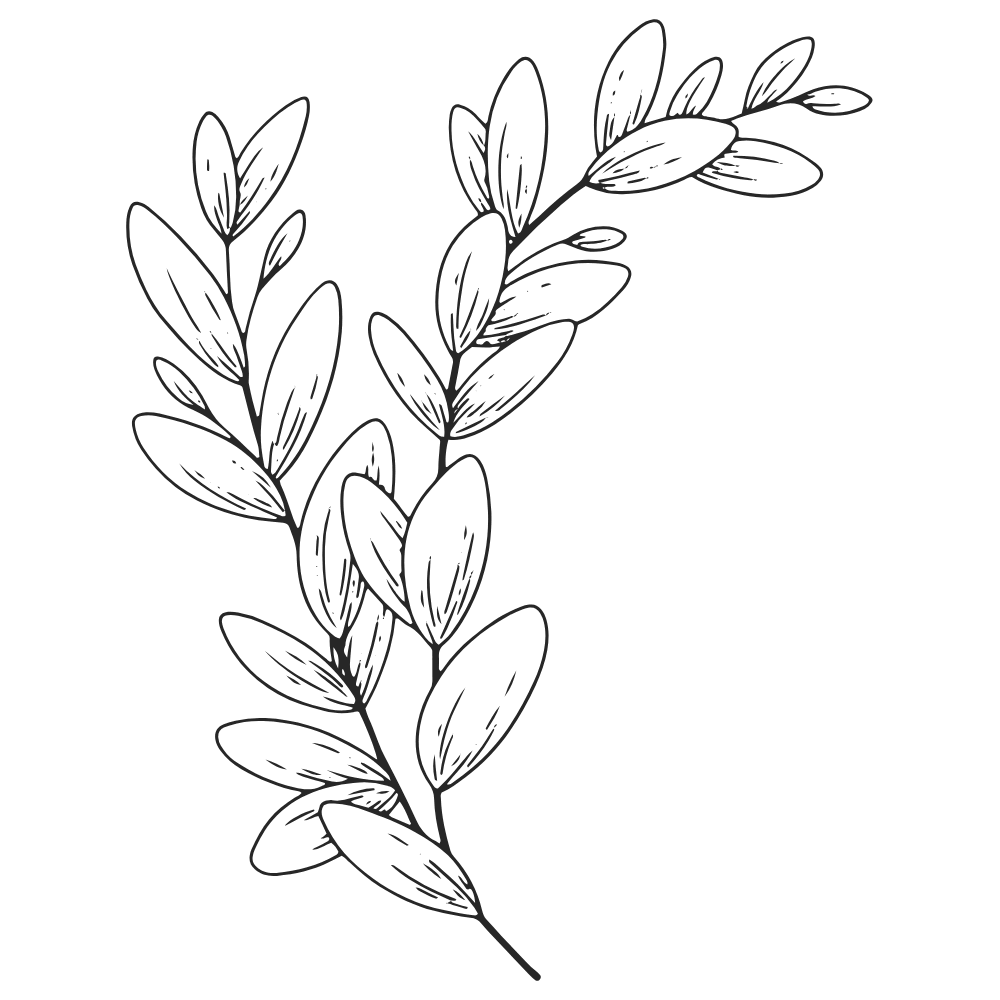 branch icon for oncology massage