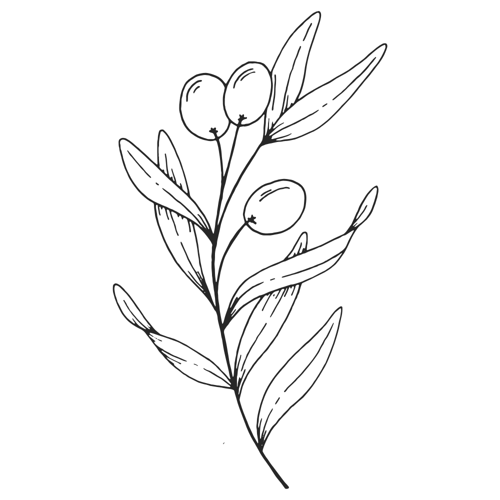 berry branch icon for swedish massage