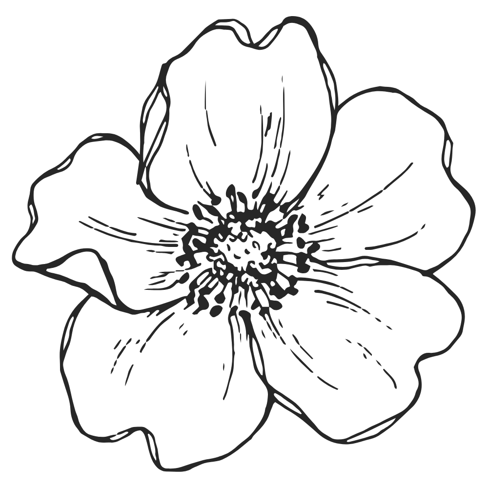 Flower icon for A session shaped around you